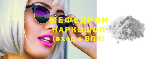 индика Осташков