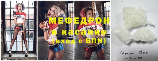 хмурый Пересвет
